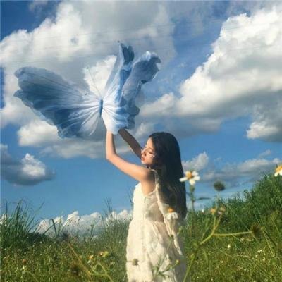 生命没有归处