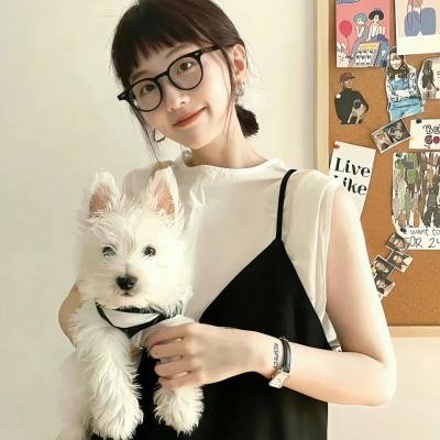 精灵也疯狂